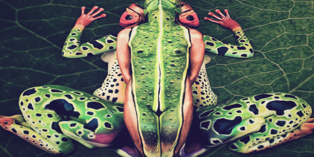 Il principio della rana